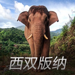 “懒人”福音！海尔周云杰官宣首批“懒人洗衣机”下线，4月交付